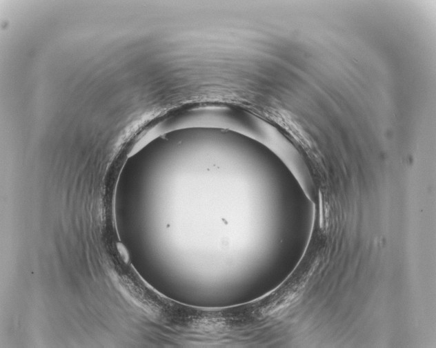 X0000087060252200704251036