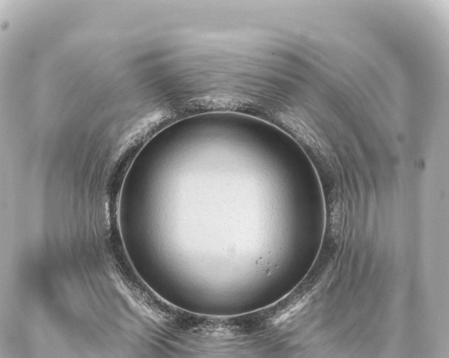 X0000087060254200704251036