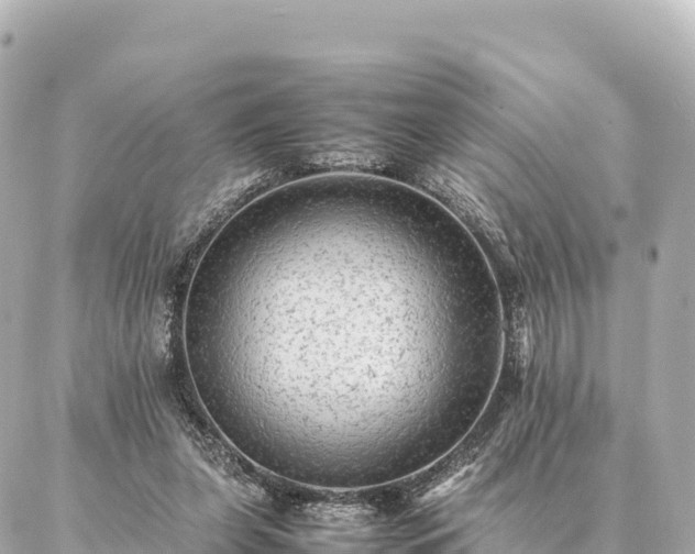 X0000087060255200704251036