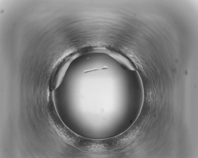 X0000087060256200704251036