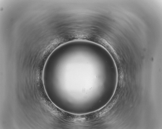 X0000087060257200704251036