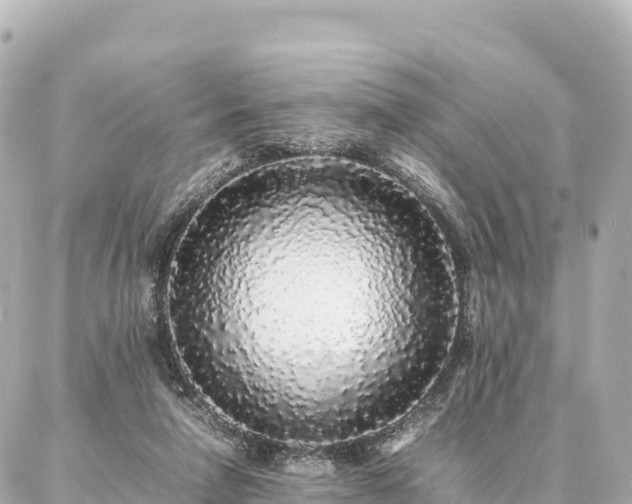 X0000087060258200704251036