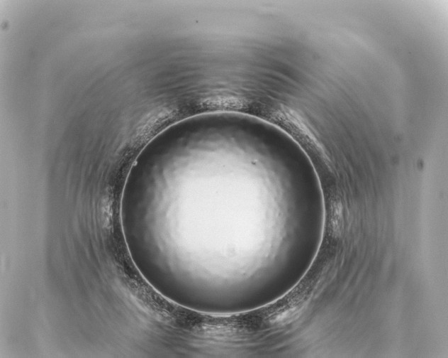 X0000087060259200704251036