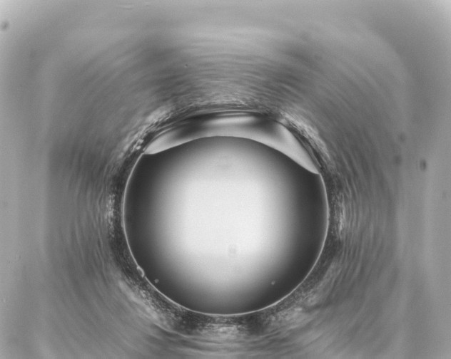 X0000087060260200704251036