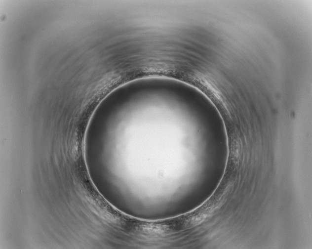 X0000087060261200704251036