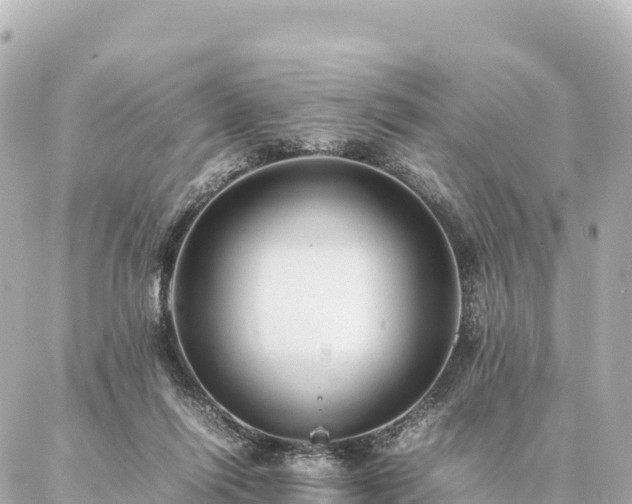 X0000087060262200704251036