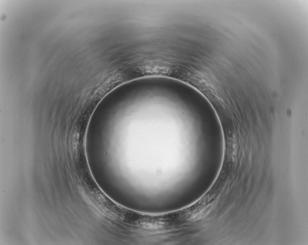 X0000087060263200704251036