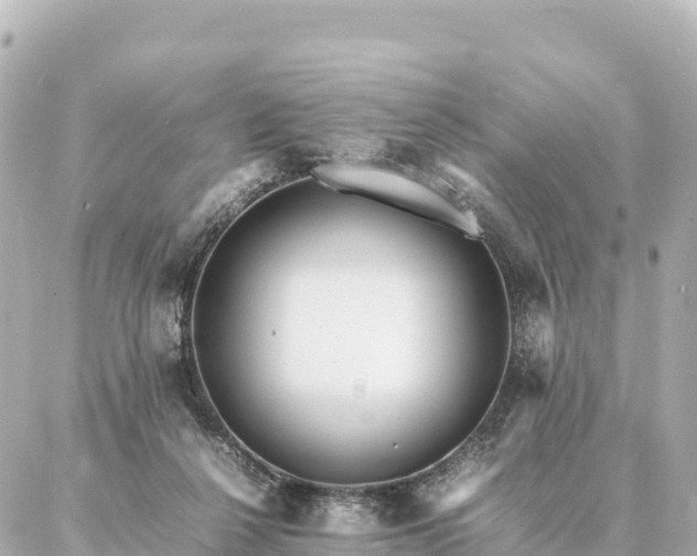 X0000087060264200704251036