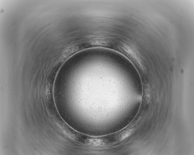 X0000087060265200704251036