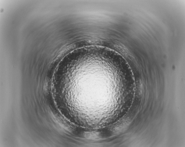 X0000087060266200704251036