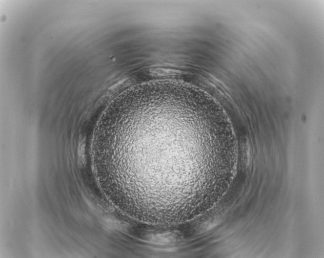 X0000087060267200704251036