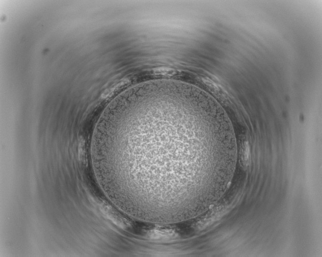 X0000087060270200704251037