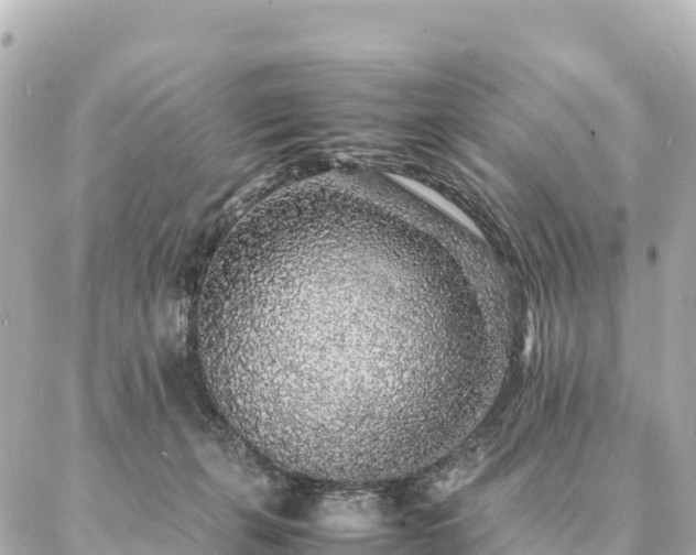 X0000087060271200704251037