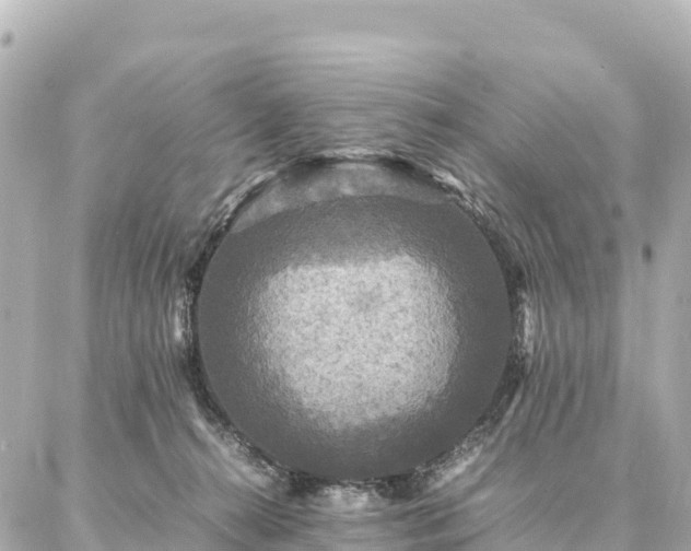 X0000087060272200704251037