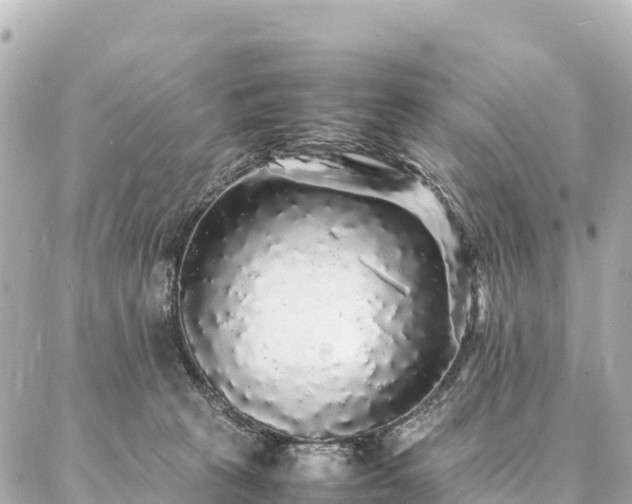 X0000087060273200704251037