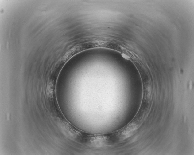 X0000087060274200704251037