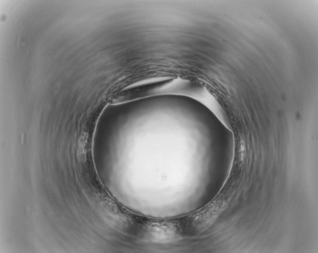 X0000087060275200704251037