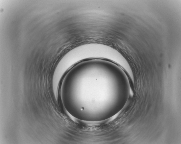 X0000087060276200704251037