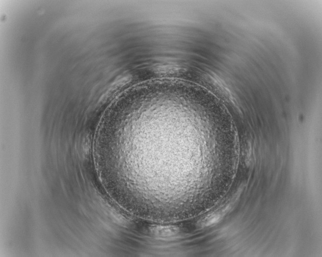 X0000087060277200704251037