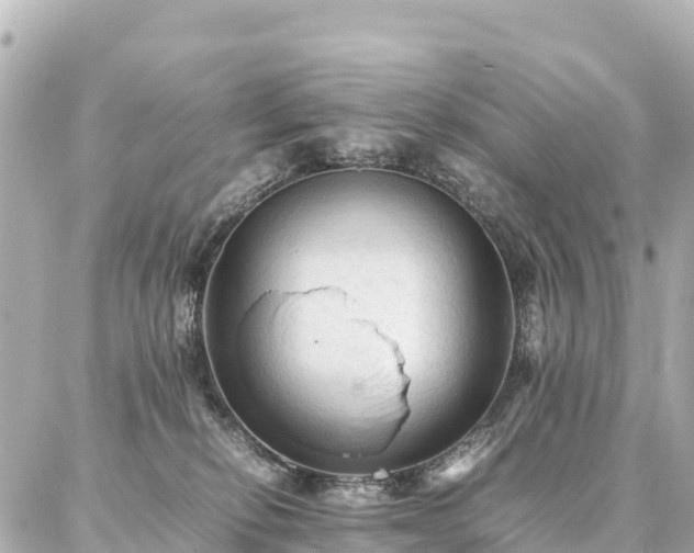 X0000087060278200704251037