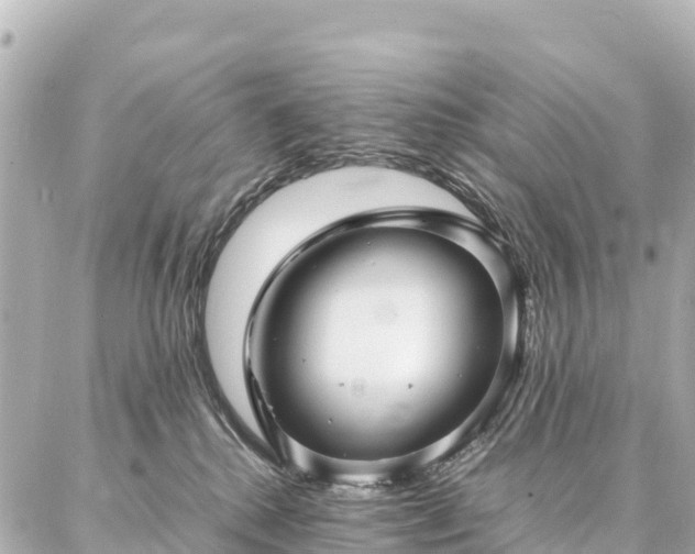 X0000087060280200704251037