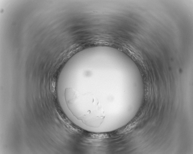 X0000087060281200704251037