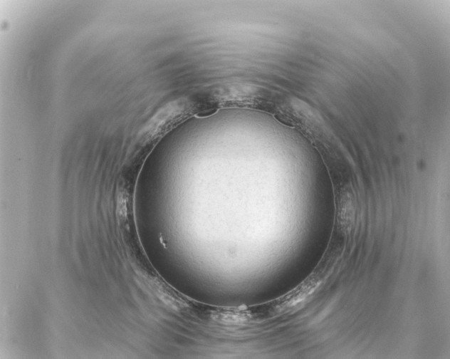 X0000087060282200704251037