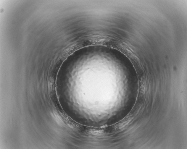 X0000087060283200704251037