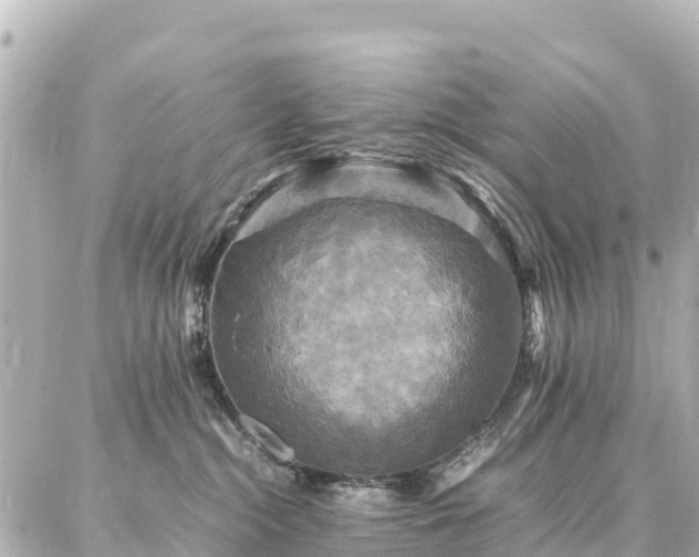 X0000087060284200704251037