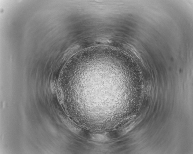 X0000087060285200704251037