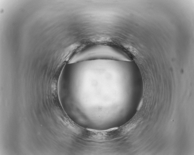 X0000087060288200704251037