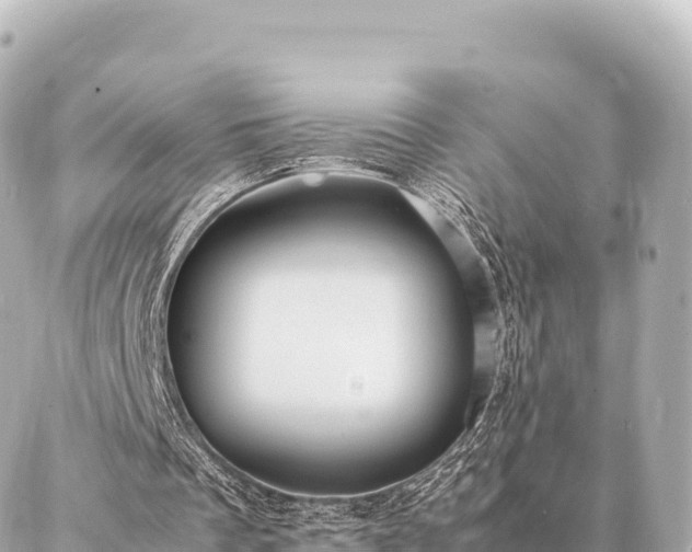 X0000087060289200704251036