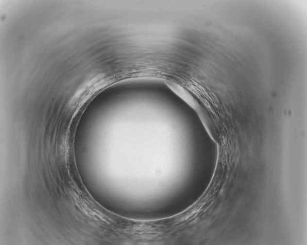 X0000087060290200704251036