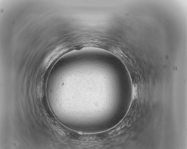 X0000087060291200704251036