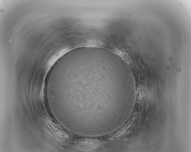 X0000087060292200704251036