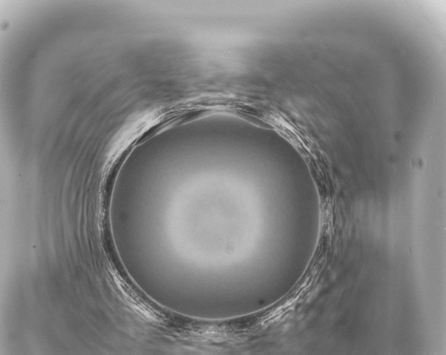 X0000087060293200704251036