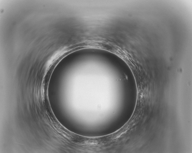 X0000087060294200704251036