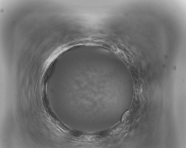 X0000087060295200704251036