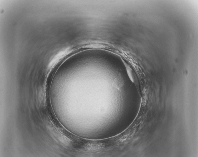 X0000087060296200704251036