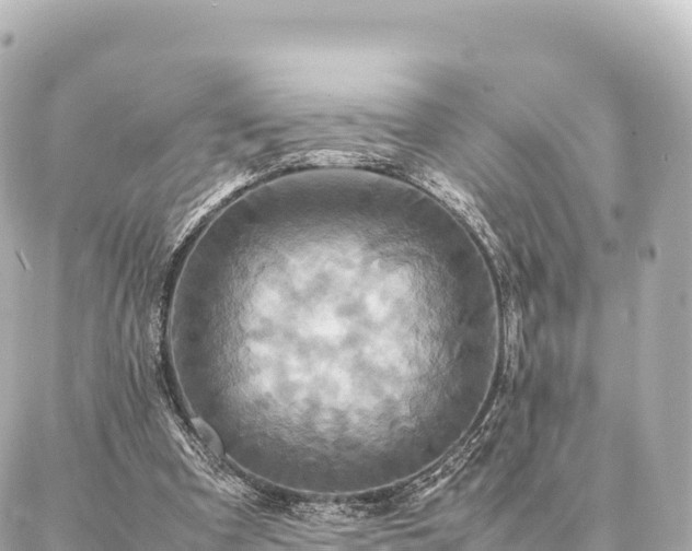 X0000087060297200704251036