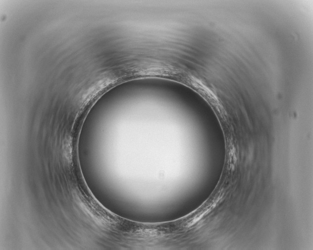 X0000087060298200704251036