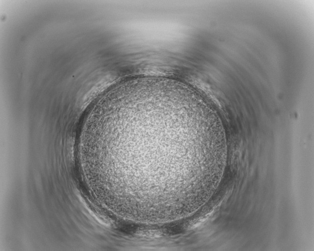 X0000087060299200704251036