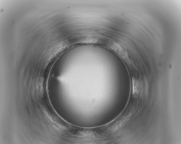 X0000087060300200704251036