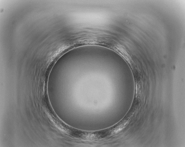 X0000087060301200704251036