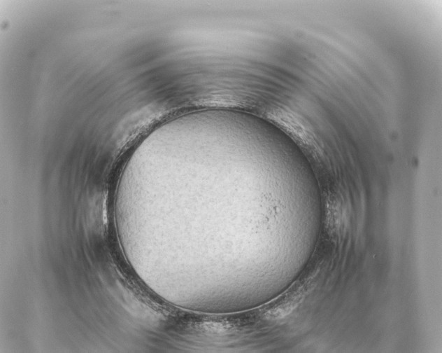 X0000087060302200704251036