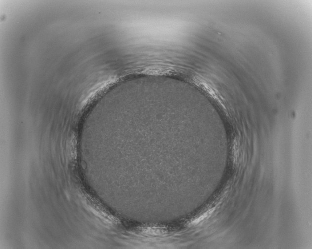 X0000087060303200704251036