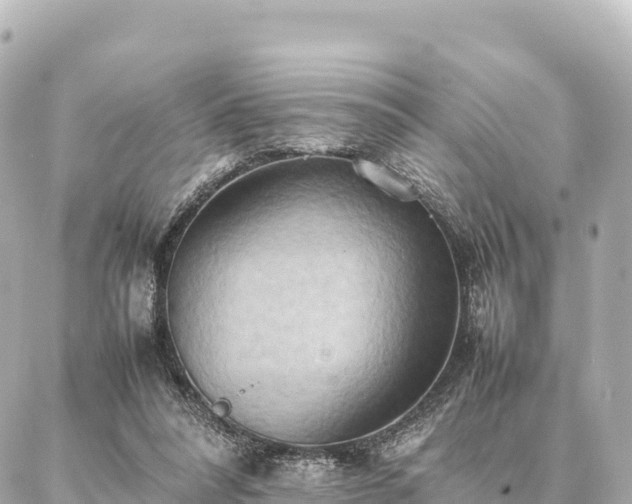 X0000087060304200704251036