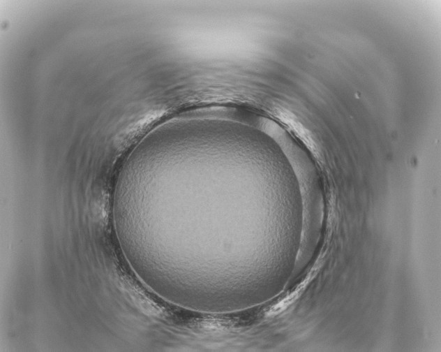 X0000087060305200704251036