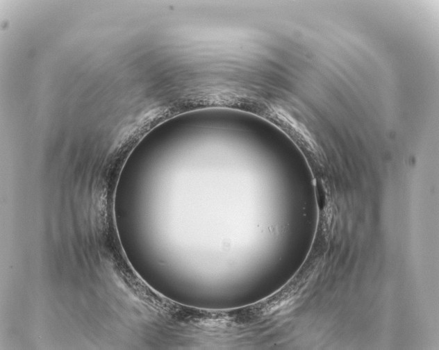 X0000087060306200704251036