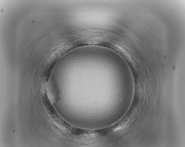 X0000087060307200704251036